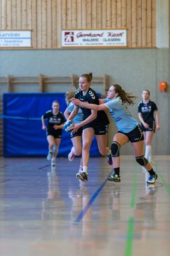 Bild 78 - wAJ HSG Stoertal Hummeln - TSV Erfde : Ergebnis: 20:17